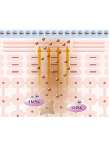 4MSK (Potassium...