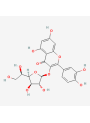  Isoquercitrin (98%)