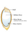  Pure-Oryzanol™ (gamma Oryzanol 97%, Rice Bran Extract)