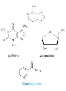 Energy-Blend™...