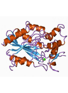 Stabilized Lipase Enzyme...