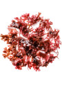  Astaxanthin (2.0% Algae Extract, For Capsule)