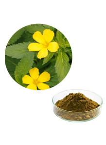 Damiana Extract