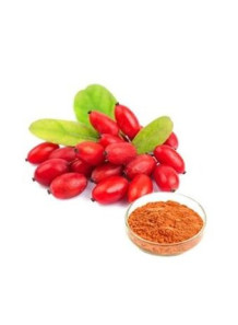 Wolfberry Powder (Goji...