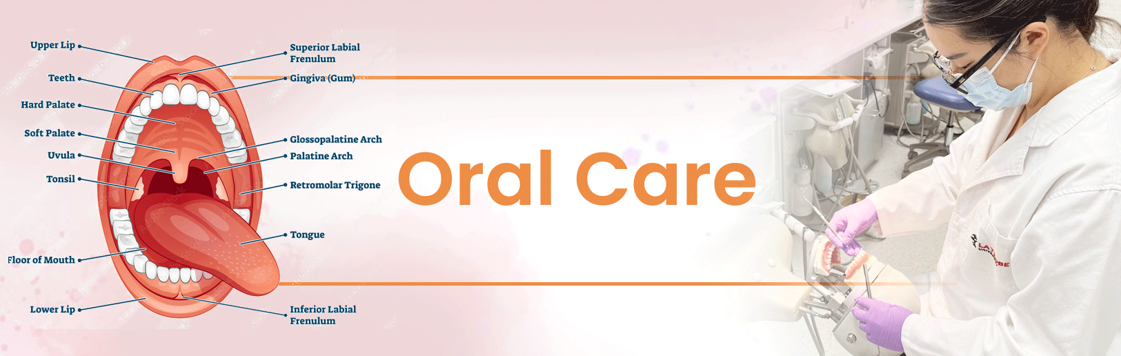 Oral Care ingredients